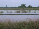34581RIMG0047.JPG