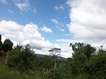 5548100_0934.JPG