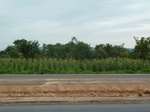 18415P1000251.JPG
