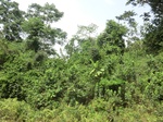 49733CIMG6070.JPG