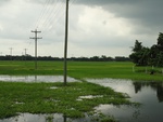 22025DSC00142.JPG