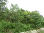 55067Berau (385).JPG