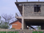 1550R0015224_tag.jpg