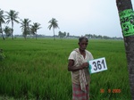 132900361b-irrigated-canal-rice-doublecrop.gif