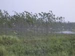 1287R0015093_small.jpg