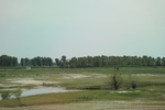 2024-08-05_15-52-03_3F597647-D6EB-4BF3-B842-A72D4954600B.jpeg