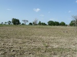 19321P1010167.JPG