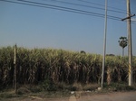 28124IMG_4935.JPG