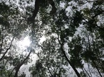 50481CIMG1110.JPG