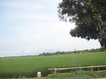 15645IMG_4717.JPG