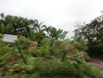30653CIMG0469.JPG