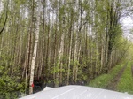 2025-05-21_10-09-16_IMG_7947.jpeg