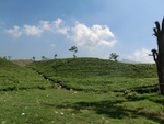 30590CIMG0386.JPG
