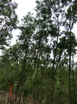 53650CIMG7024.JPG