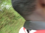 47328CIMG3665.JPG