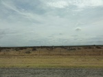36058DSC02778.JPG