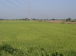 21407RIMG0018.JPG