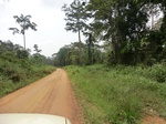 51009CIMG4122.JPG