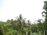 15270IMG_4094.JPG