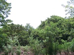 1726220042008(47).JPG