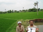 6016007d-irrigated-canal-nagarjunsagar-rice-dominant.jpg