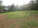 43390CIMG0201.JPG
