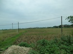 39583CIMG1662.JPG