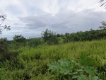 24858DSC01036.JPG
