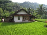 14687IMG_5068.JPG