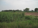 34462IMG_5445.JPG