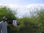 1190243-scrubland-a.jpg