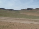 22528P1010692.JPG