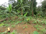 45772CIMG2857.JPG