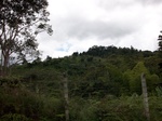 5542100_0923.JPG