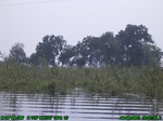 1436R0015167_tag.jpg