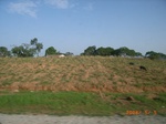 8884nigeria 095.jpg