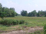 28276RIMG0278.JPG