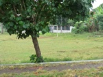 30958CIMG0819.JPG