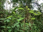 43453CIMG0258.JPG