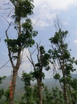 53758CIMG7158.JPG