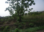 4048RIMG0352.JPG
