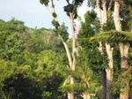 14624IMG_5003.JPG