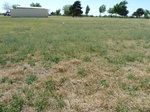 29228KIN220110412W.JPG