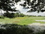 24639DSC00858.JPG