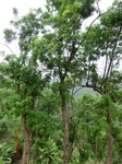 53604CIMG6969.JPG