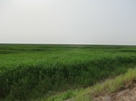 53779CIMG0245.JPG