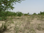 18989P1000833.JPG