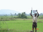 131810327a-irrigated-canal-rice-singlecrop.gif