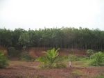 33642IMG_5831.JPG