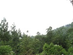 13836IMG_4104.JPG